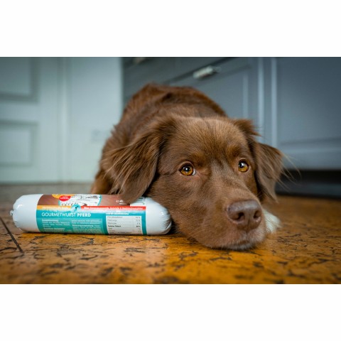 Dog Snacks Wet pet food Gourmet Horse Sausage (Gourmetwurst Pferd) 400g 1 Piece -3- Anifit