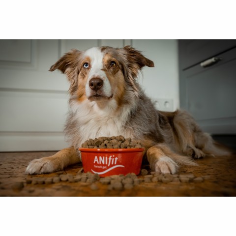 Dog Snacks Catfish-Snack (Wels-Snack) 170g 1 Package -3- Anifit